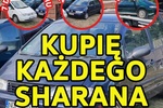 Skup VW Sharan, Kupię Każdego Sharana
