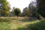 Działka - siedlisko w w lesie w Malińcu